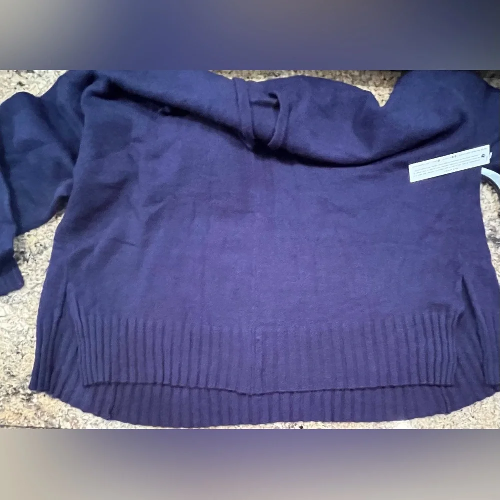 NWT Revolve Central Park West Chelsea Oversized Hoodie - Picture 10 of 13